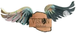 Logo Vision Soukali