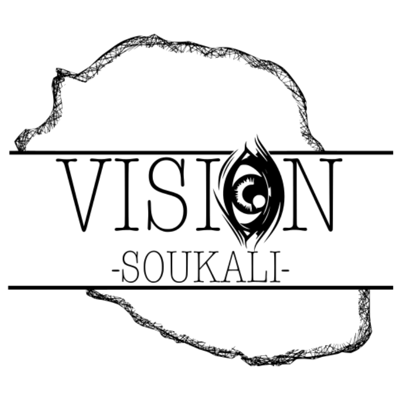 Logo Vision V1 portfolio
