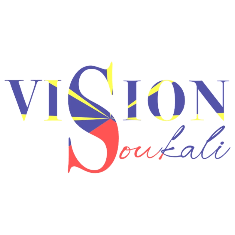 Logo Vision V2 portfolio