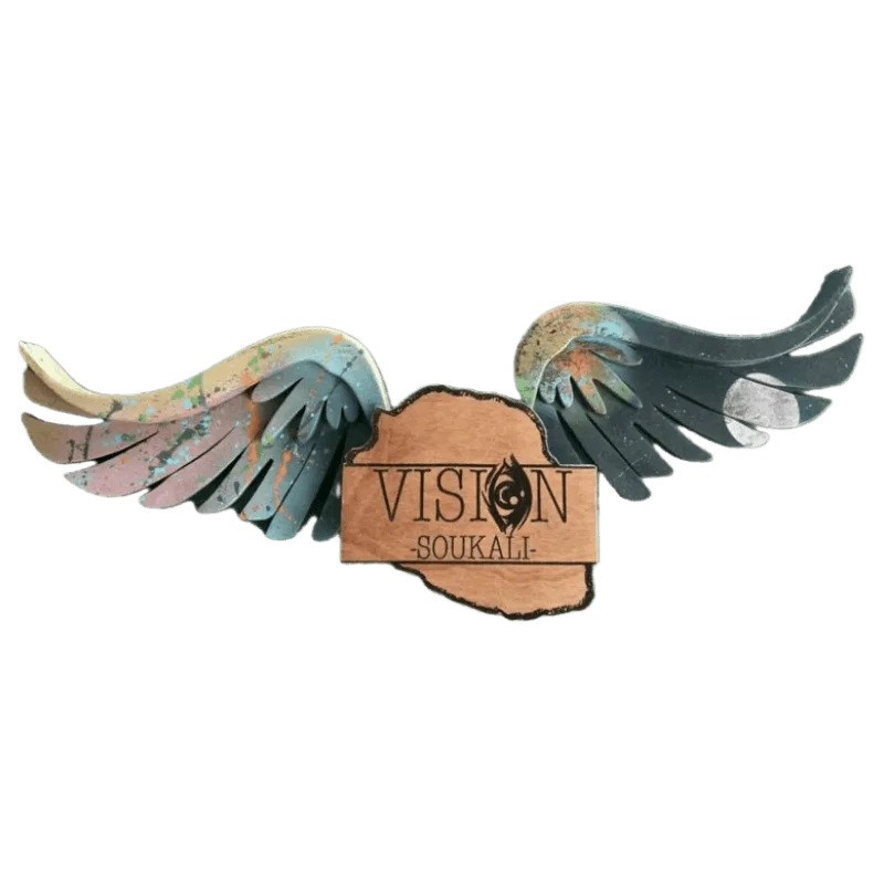 Logo Vision V3 portfolio